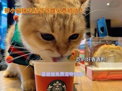-星巴克(天津鲁能中心第三店)