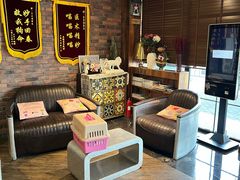 -宠颐生斯嘉宠物医院·急重症·心内科(谷阳北路分院)