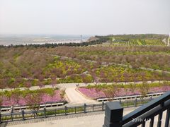 -古柏渡飞黄旅游区