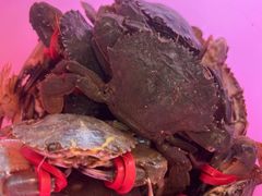 -港畔赶海蒸汽海鲜烧烤自助(仙螺岛店)