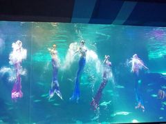 -泉城欧乐堡海洋极地世界