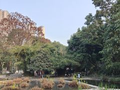 -成都市活水公园