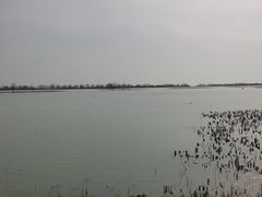 -苏州太湖湖滨国家湿地公园