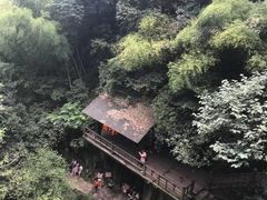 -莫干山风景区