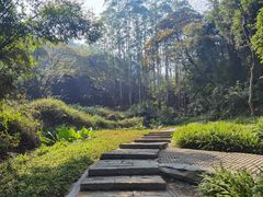 -黄埔油麻山森林公园