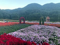 -广州市石门国家森林公园