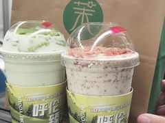 -茉酸奶(春熙路店)