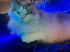 -暗楼·剧本杀·桌游