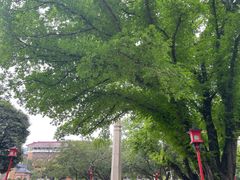 -广州中山纪念堂