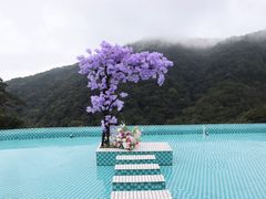 -龙岩森林水乡景区