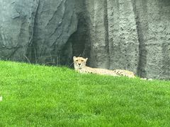 -北京野生动物园