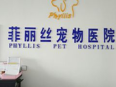 -菲丽丝宠物医院·24小时·猫科中心·免疫点(淮海分院)