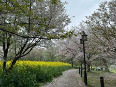 -苏州上方山国家森林公园