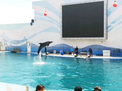 -北戴河圣蓝海洋公园