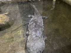 -青青世界