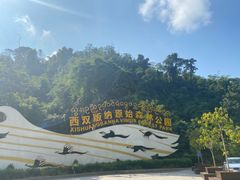 -西双版纳原始森林公园