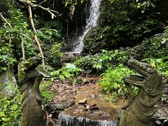 -莫里热带雨林景区