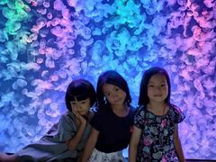 -烟台海昌鲸鲨海洋公园