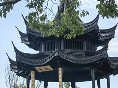 -贡湖湾湿地公园