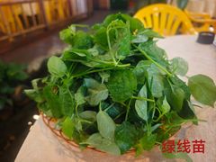 -一煲鸽