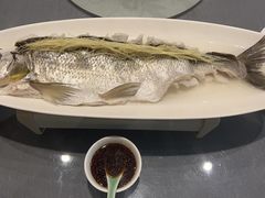 清蒸白鱼-西湖春天•老字号杭州菜(百汇店)