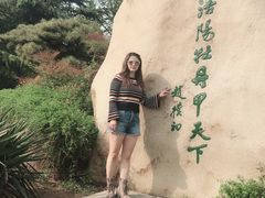 -西苑公园