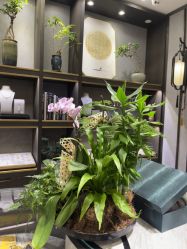 -御珠宫坊(壹海城ONEMALL店)