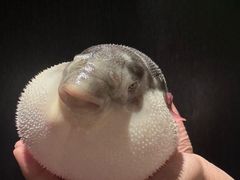 -永安鱼庄·镇江菜(东吴路店)