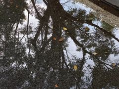 -厦门园林博览苑