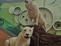 -陕西自然博物馆