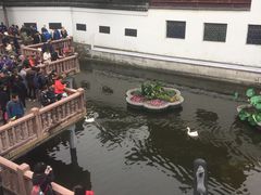 -豫园湖心亭茶楼