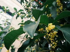 -巧云大馄饨(南阴阳营总店)