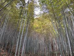 -敬亭山风景名胜区