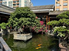 -猪肉婆私房菜(容桂总店)