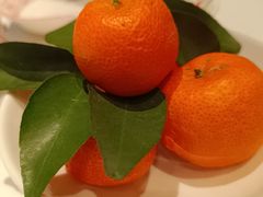 -谭厨中山传家菜.乳鸽.脆鲩鱼(华强北中航城店)