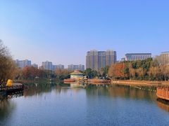 -自然谷恐龙园