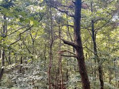 -第34届青岛国际啤酒节