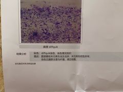 -立德动物医院·异宠·CT·鹦鹉(天河店)