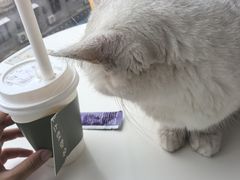 -怪兽屋·羊驼·猫咖·狗咖(俊华广场店)
