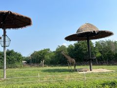 -济南野生动物世界