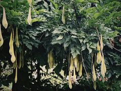 -大理洱源西湖景区