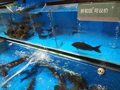 -三江购物(上上城店)