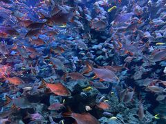 -成都浩海立方海洋公园