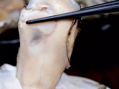 -烧蠔帮·生蚝海鲜牌档(观海店)