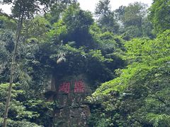 -鼎湖山风景区