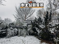 -天津水上公园