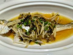 -茗鼎汇(星方汇广场店)