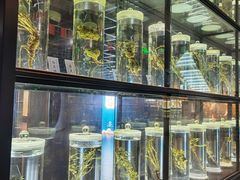 -广东中医药博物馆