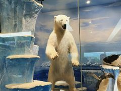 -国家自然博物馆