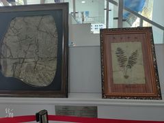 -中国第四纪冰川遗迹陈列馆